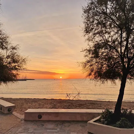 Apartment Le Lavandou, 1 Piece, 3 Personnes - Fr-1-251-438
